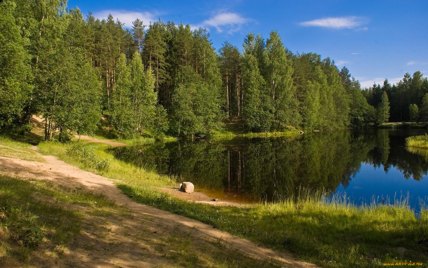 Лесное озеро в Ленинградской области